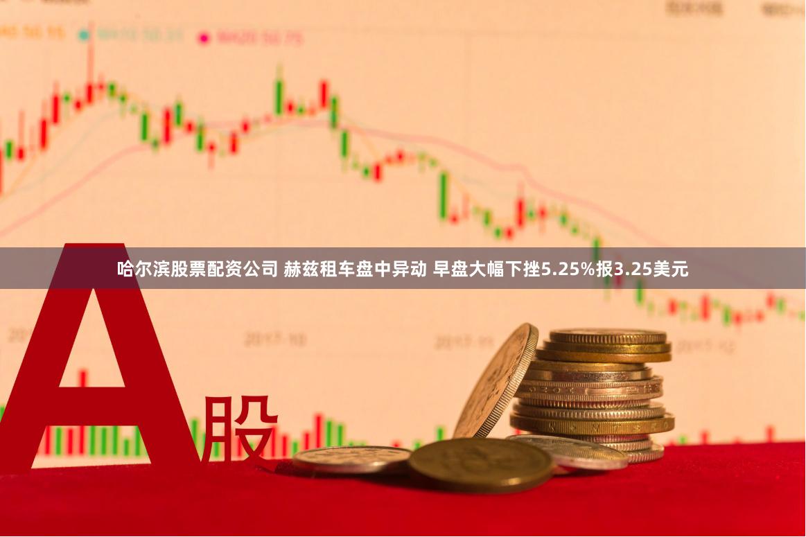 哈尔滨股票配资公司 赫兹租车盘中异动 早盘大幅下挫5.25%报3.25美元