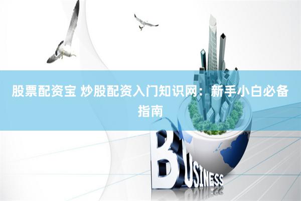 股票配资宝 炒股配资入门知识网：新手小白必备指南