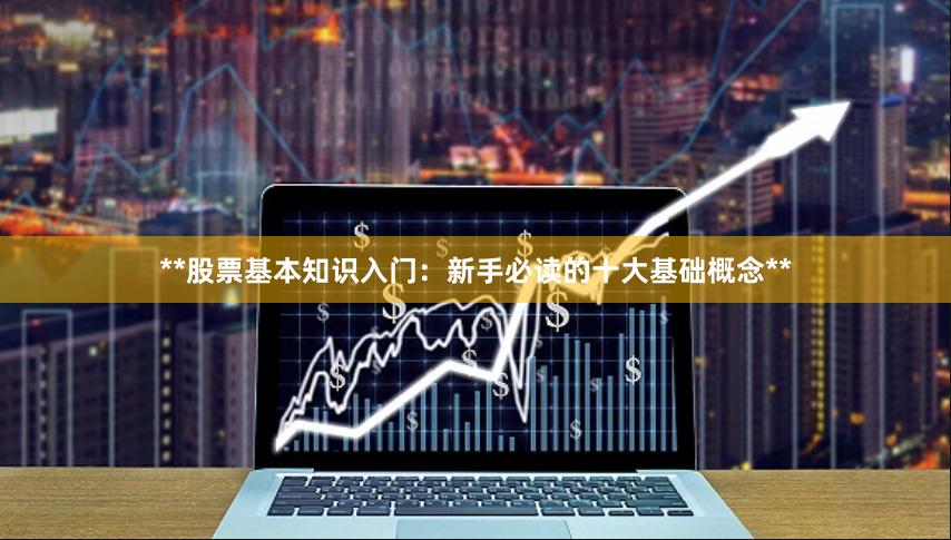 **股票基本知识入门：新手必读的十大基础概念**
