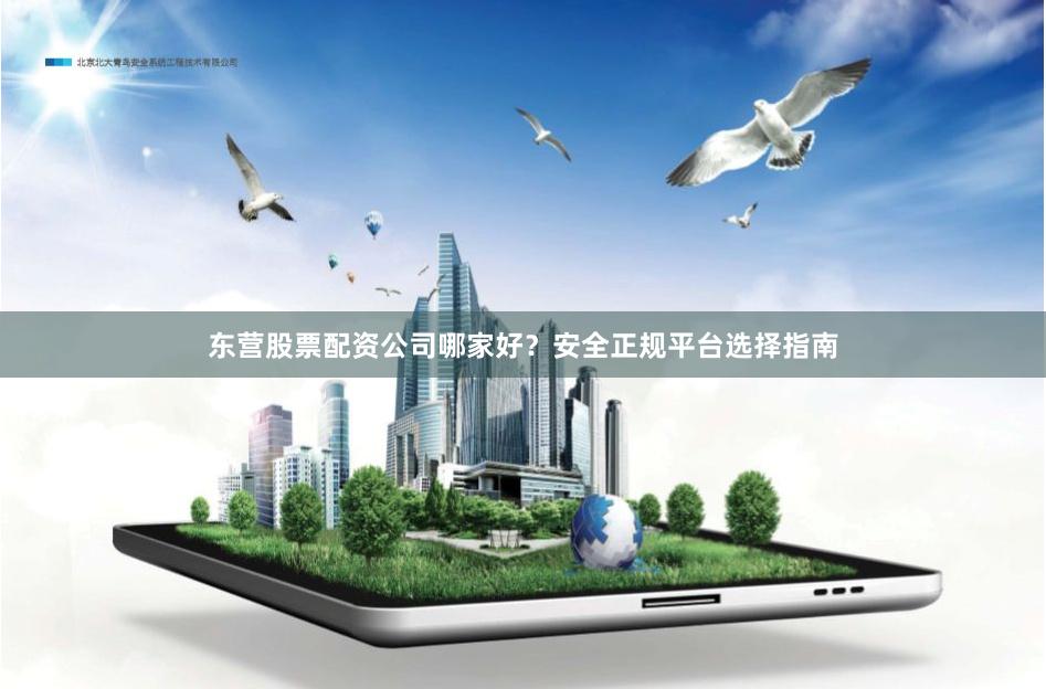 东营股票配资公司哪家好?安全正规平台选择指南